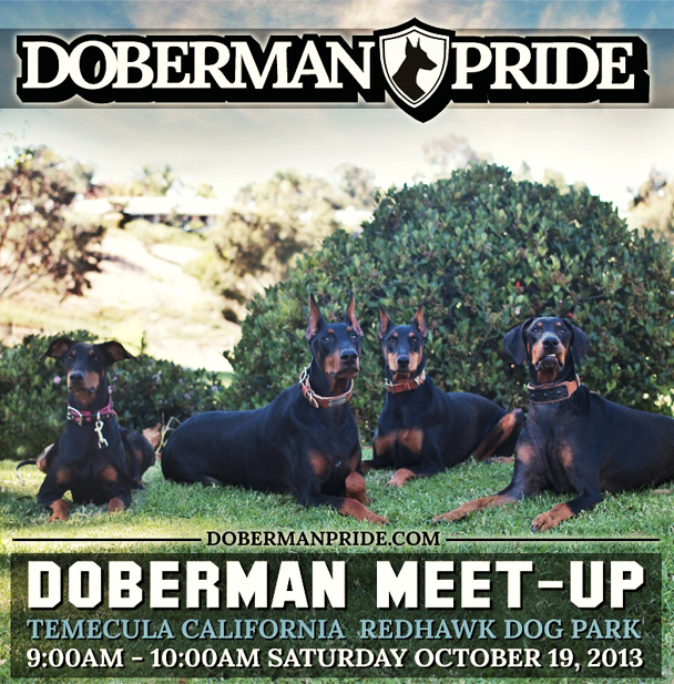 DOBEMEET-UP