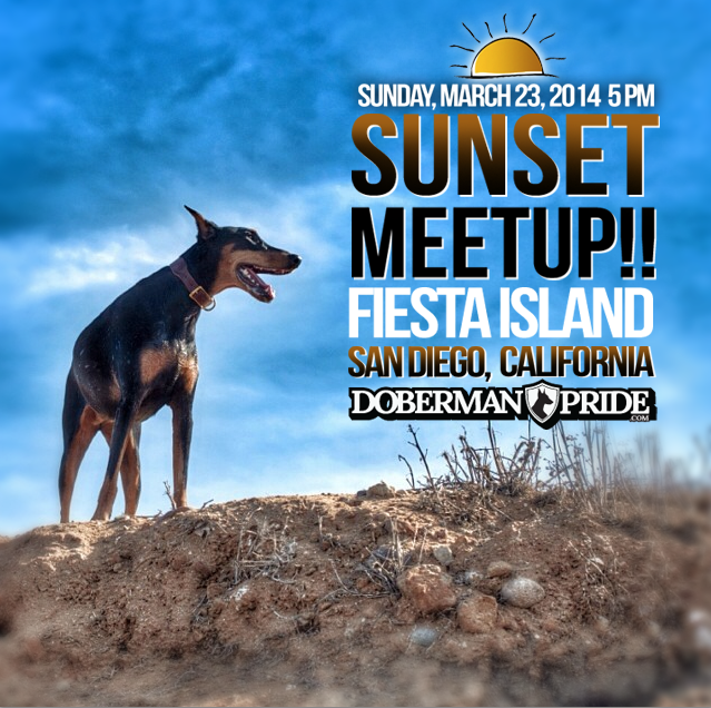 Screen Shot 2014-03-17 at 1.08.30 PM